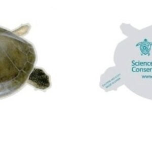 Ornament - Issued 2013