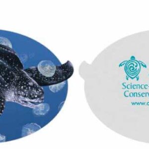 Ornament - Issued 2015